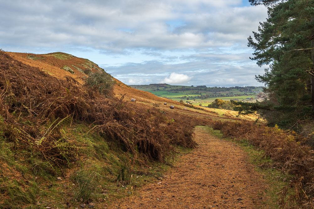 Knipe Scar Knipe Scar